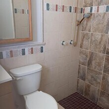 3525 Springfield Dr in Holiday, FL - Building Photo - Building Photo