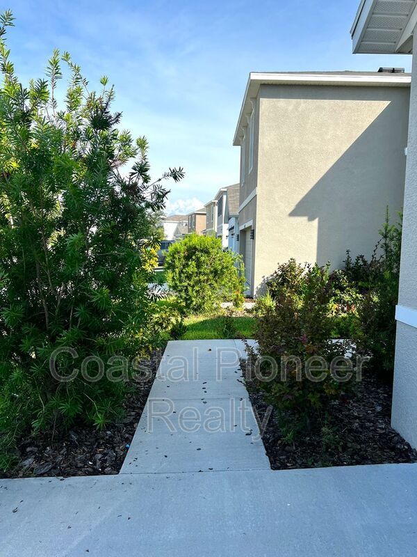 16034 Soft Fern Dr in Odessa, FL - Building Photo - Building Photo