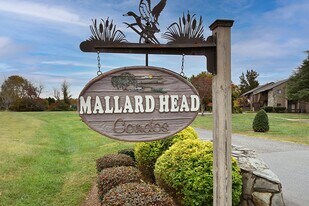 411 Mallard Head Pl in Mooresville, NC - Building Photo