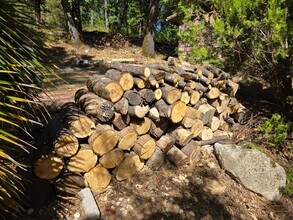 13255 Goldenchain Ct in Grass Valley, CA - Building Photo - Building Photo