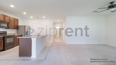 32603 Brooks Hawk Ln in Wesley Chapel, FL - Building Photo - Building Photo