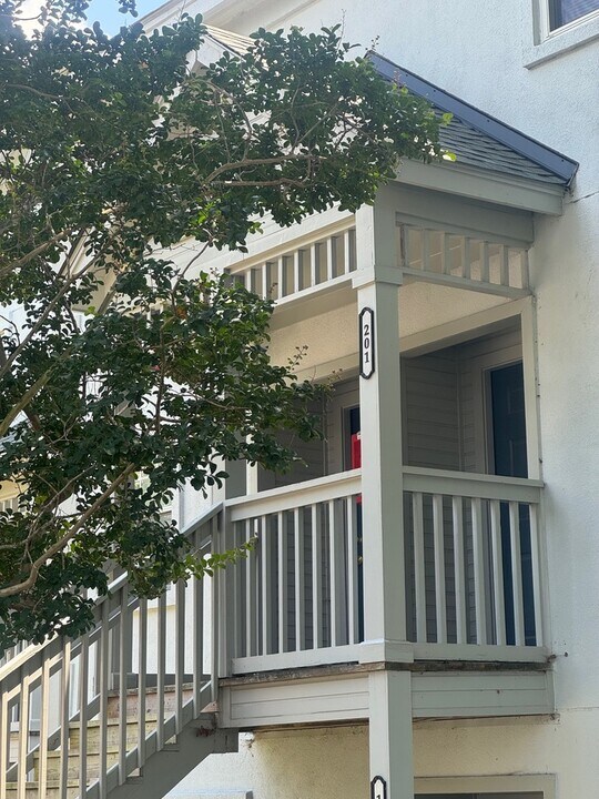 2500 Avent Ferry Rd in Raleigh, NC - Foto de edificio