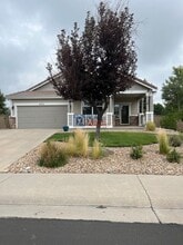 6725 Turnstone Ave in Castle Rock, CO - Building Photo - Building Photo