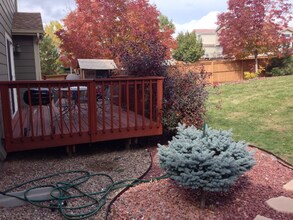 9302 Wolfe Dr in Highlands Ranch, CO - Building Photo - Building Photo