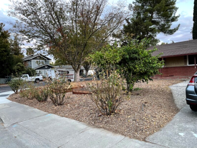 2528 Bates Dr in Davis, CA - Building Photo