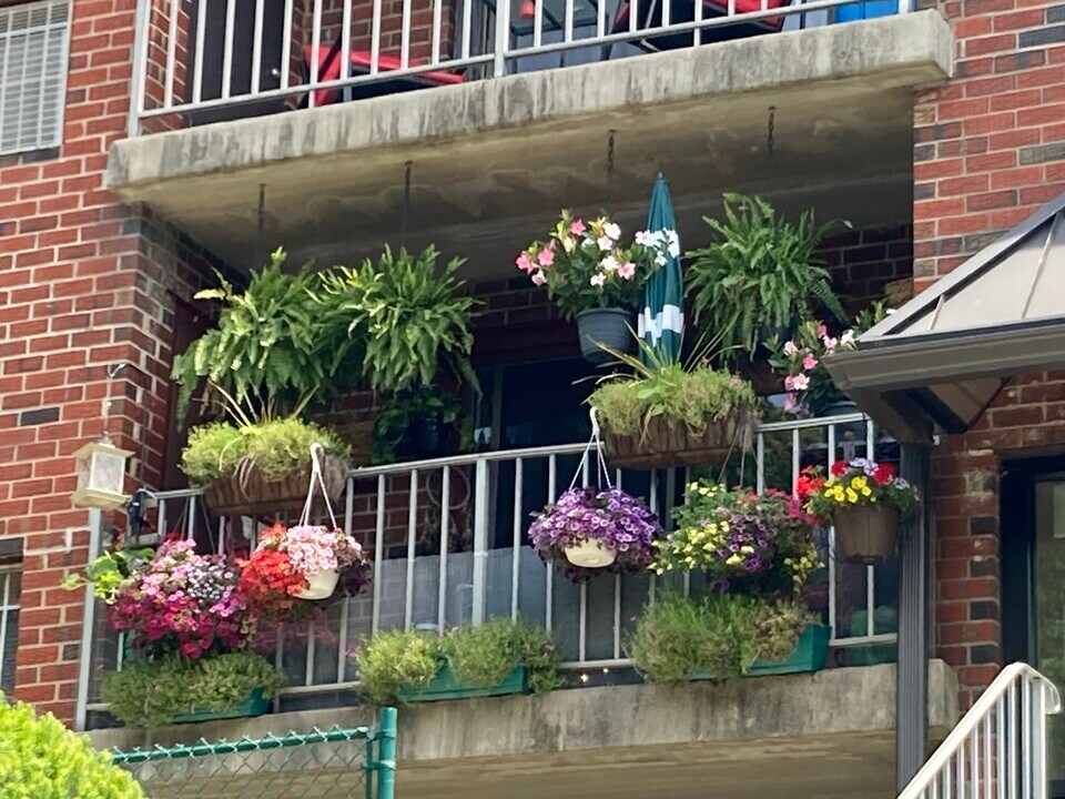 Bridgewater Apartments in Brookhaven, PA - Foto de edificio