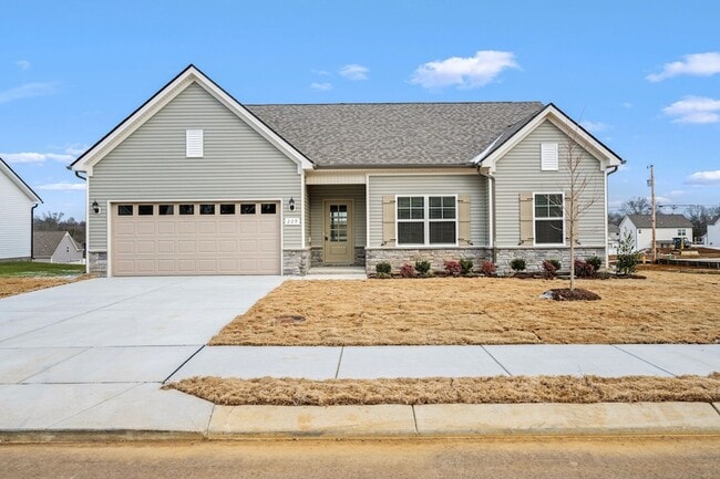 property at 229 Republic St