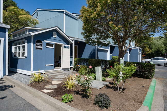 Walkham Townhomes in Santa Rosa, CA - Building Photo - Building Photo