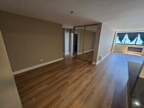 555 Pierce St in Albany, CA - Building Photo - Building Photo