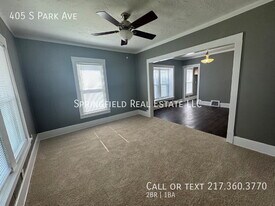 405 S Park Ave in Springfield, IL - Building Photo
