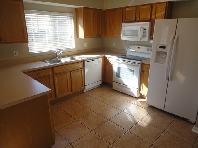 25702 Aldus Dr in Land O Lakes, FL - Building Photo - Building Photo