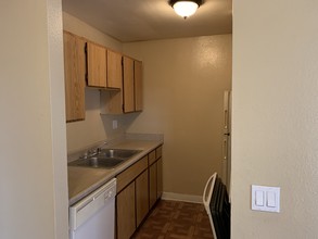 Birch Terrace Apartments in Spring Valley, CA - Building Photo - Building Photo