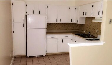 9826 Sayre Ave-Unit -4 in Chicago Ridge, IL - Building Photo - Building Photo