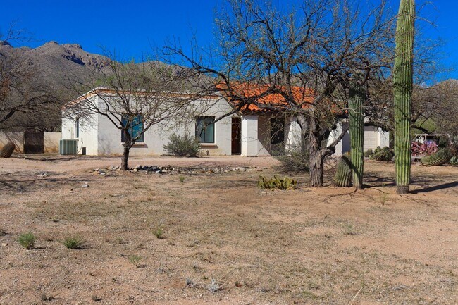 property at 11251 E Placita Molino