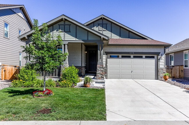 4278 Forever Cir in Castle Rock, CO - Building Photo - Building Photo