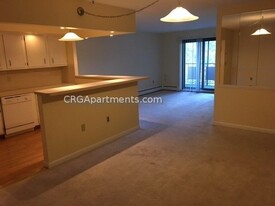 391 Massachusetts Ave, Unit 32R Apartamentos