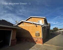 37040 Mulberry St in Newark, CA - Building Photo