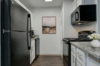 Seraphina Castle Hills in San Antonio, TX - Building Photo - Building Photo