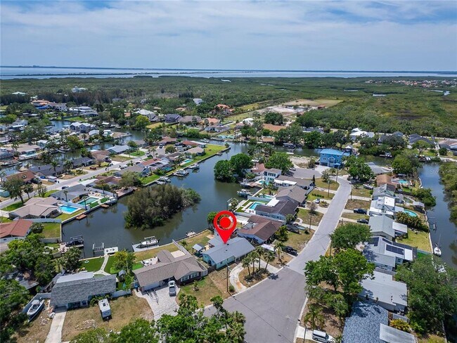 8702 Driftwood Dr in Tampa, FL - Building Photo - Building Photo