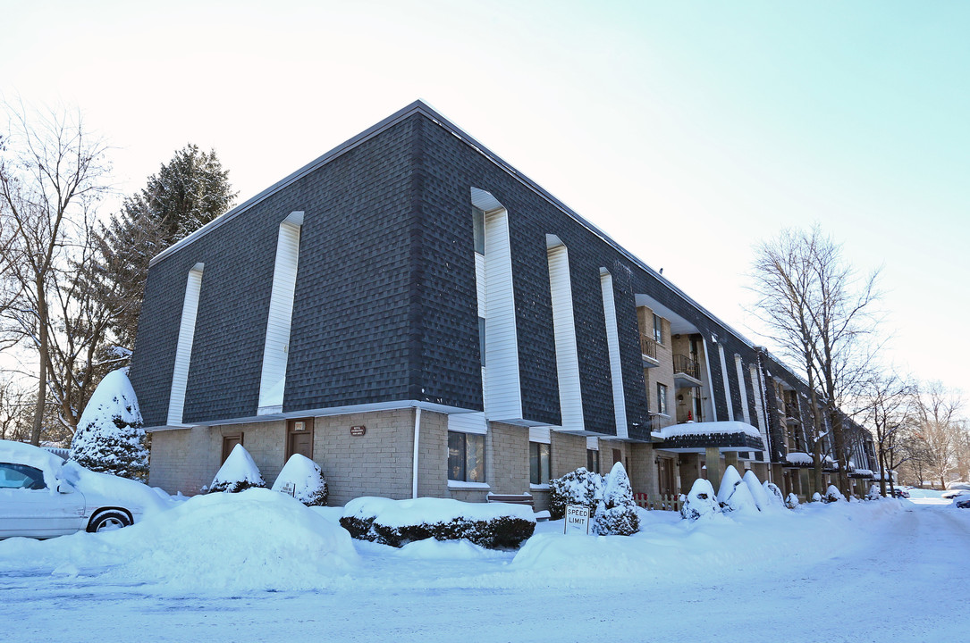 Esquire Village in Schenectady, NY - Building Photo