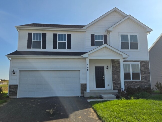 348 Danforth Dr in Oswego, IL - Building Photo - Building Photo