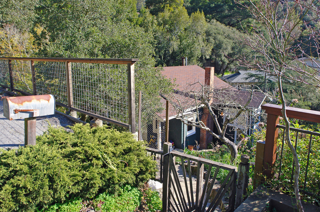 38 Cornelia Ave in Mill Valley, CA - Building Photo