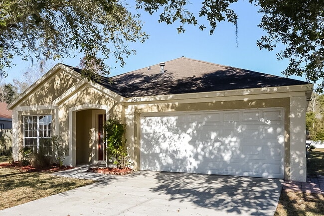 29613 Morningmist Dr in Zephyrhills, FL - Building Photo - Building Photo