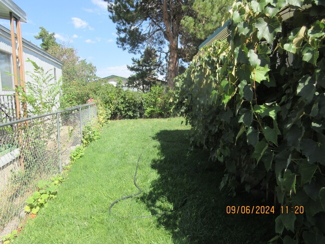 1277 Kingslane Ct in Gardnerville, NV - Building Photo - Building Photo