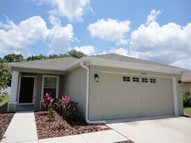 18025 Cypress Bay Pky in Land O Lakes, FL - Building Photo