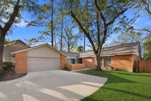 506 Willow Wisp Cir in Spring, TX - Building Photo