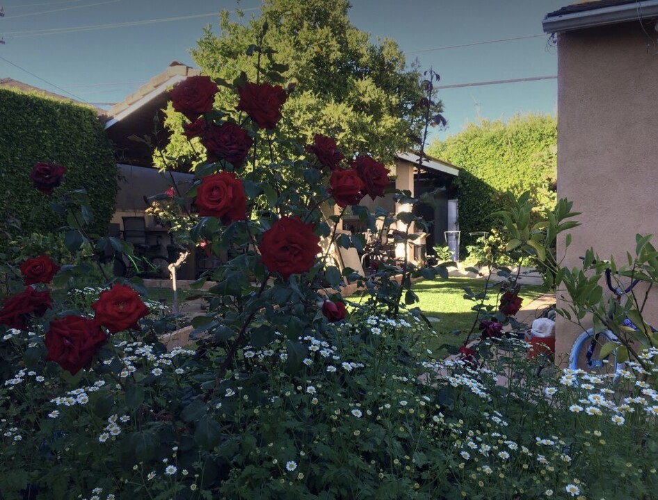 6008 Damask Ave, Unit Guest house in Los Angeles, CA - Foto de edificio