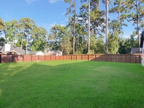 23826 Cow Oak Dr in Spring, TX - Building Photo - Building Photo