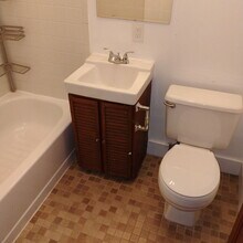 253 State St in Albany, NY - Building Photo - Building Photo