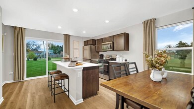 387 McGrath Dr in Oswego, IL - Building Photo - Building Photo