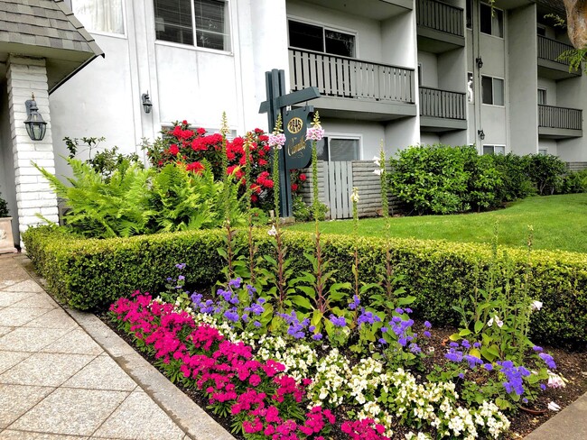 The Camille Apartments in Mountain View, CA - Foto de edificio - Building Photo