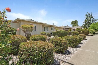 6588 Wisteria Way in San Jose, CA - Building Photo - Building Photo