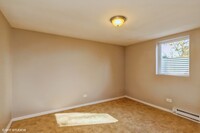 1005 Larkdale Row, Unit 4102 in Wauconda, IL - Building Photo - Building Photo