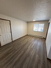 619 S Johnson St in Iowa City, IA - Building Photo - Building Photo