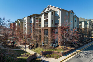 Preserve at Catons Crossing Apartments