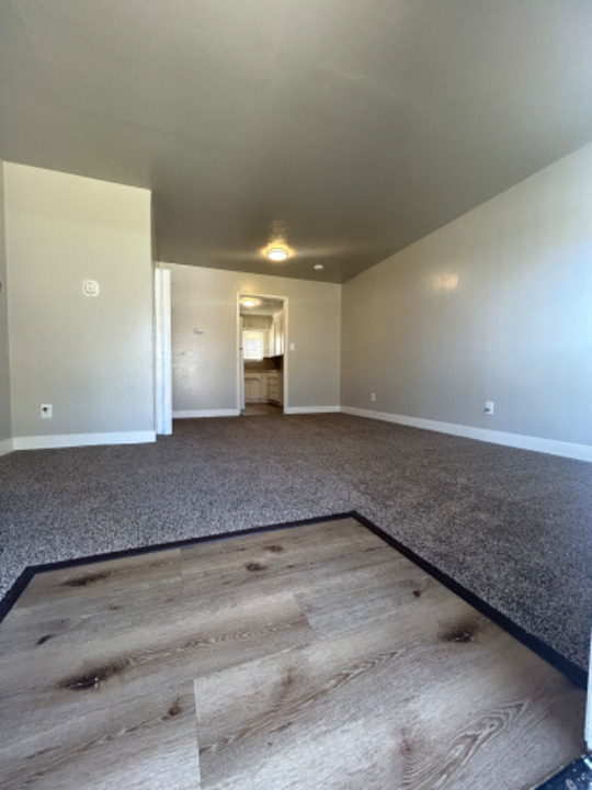 3323 E Clinton Ave in Fresno, CA - Building Photo