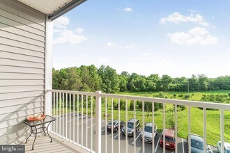 23619 Waterford Downs Terrace in Ashburn, VA - Building Photo - Building Photo