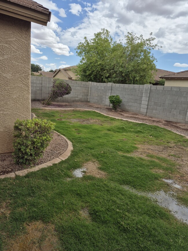 1725 W Matthews Dr in Queen Creek, AZ - Building Photo - Building Photo