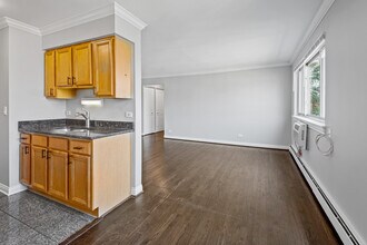 1060 W Hollywood Ave in Chicago, IL - Building Photo - Building Photo