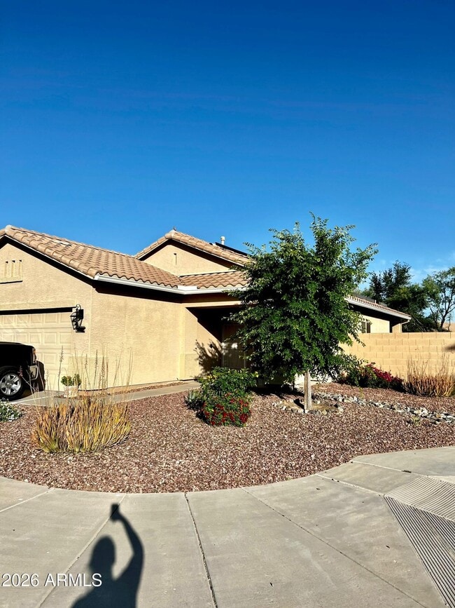 property at 4053 W Saddlehorn Rd