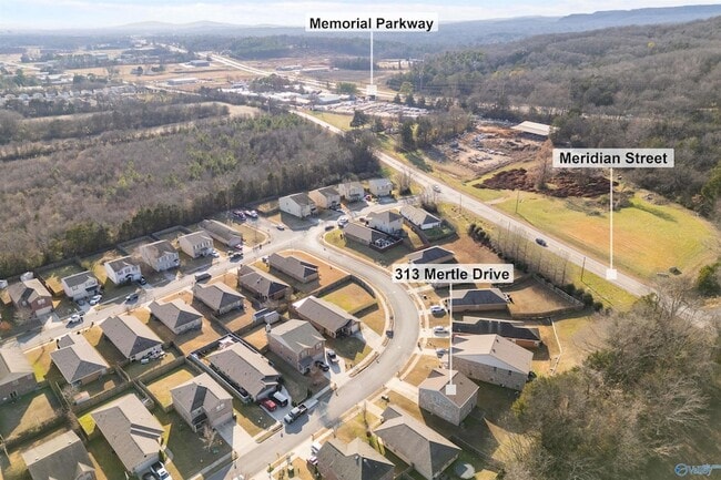 313 Mertle Dr in Huntsville, AL - Foto de edificio - Building Photo