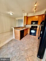 3362 Nadia Loop in Woodbridge, VA - Building Photo