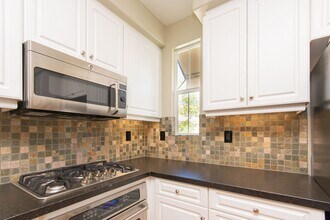1646 Sunnyside Ave in San Marcos, CA - Building Photo - Building Photo