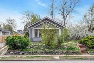 1920 S Downing St in Denver, CO - Building Photo - Building Photo