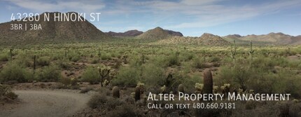 43280 N Hinoki St in Queen Creek, AZ - Building Photo - Building Photo