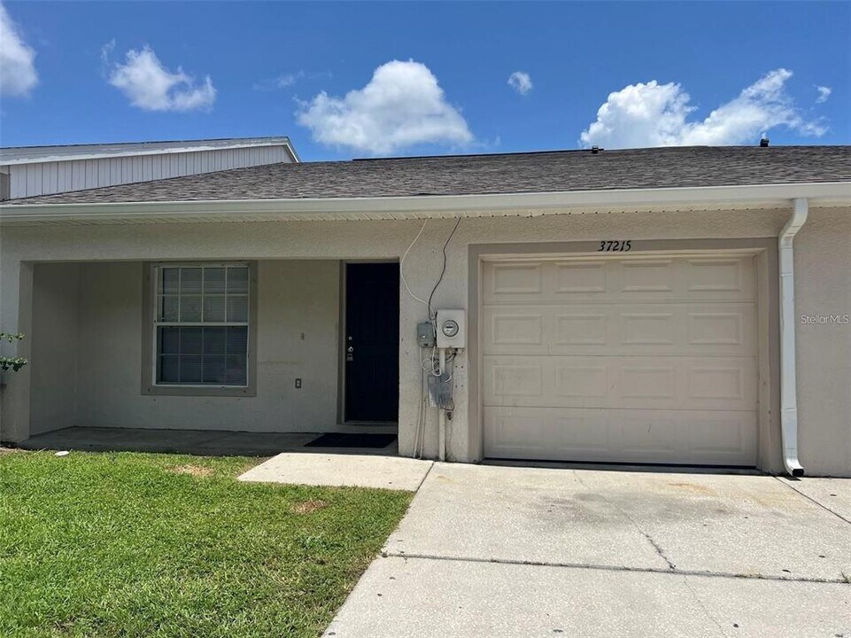 37215 Grassy Hill Ln in Dade City, FL - Building Photo
